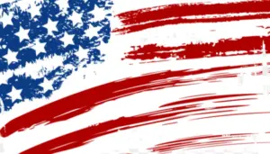 usa customs free support